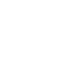 icon-1
